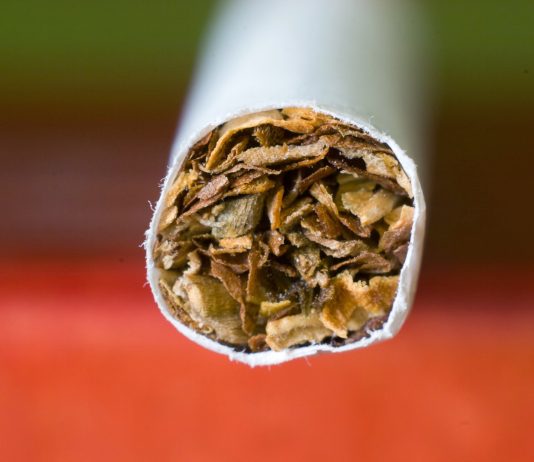 Sigara Markaları ve Nikotin Oranları