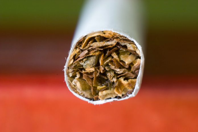 Sigara Markaları ve Nikotin Oranları